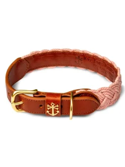 Discount Kiel James Patrick Bermuda Sand Beach Dog Collar