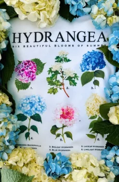 New Kiel James Patrick Hydrangea Blooms T-Shirt- Women'S