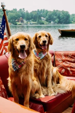 Kiel James Patrick Montauk Patchwork Madras Bandana