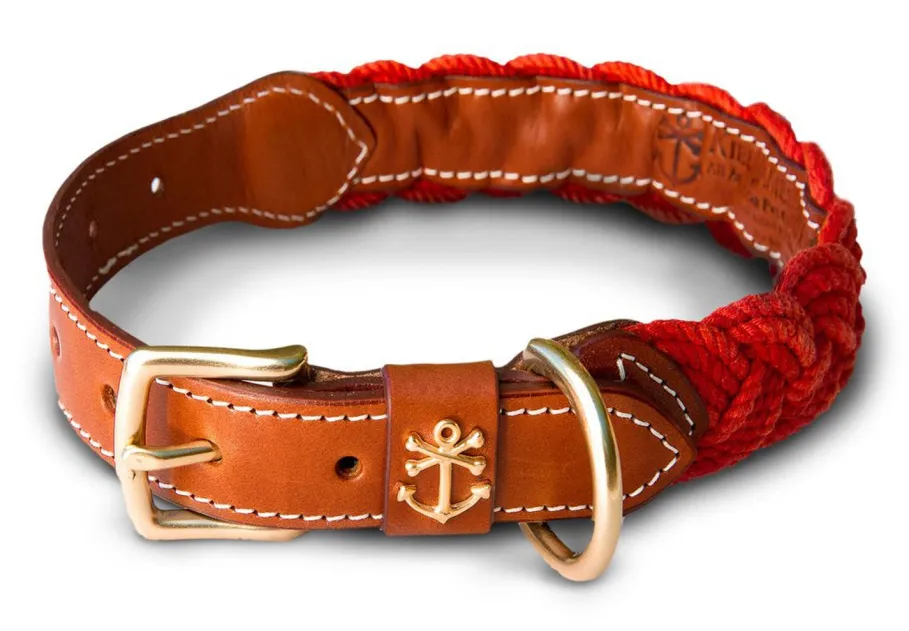 Discount Kiel James Patrick Narragansett Lifeguard Dog Collar