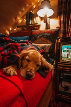 Clearance Kiel James Patrick The Manchester Tartan Blanket