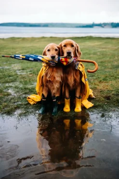 Sale Kiel James Patrick The Maritime Umbrella